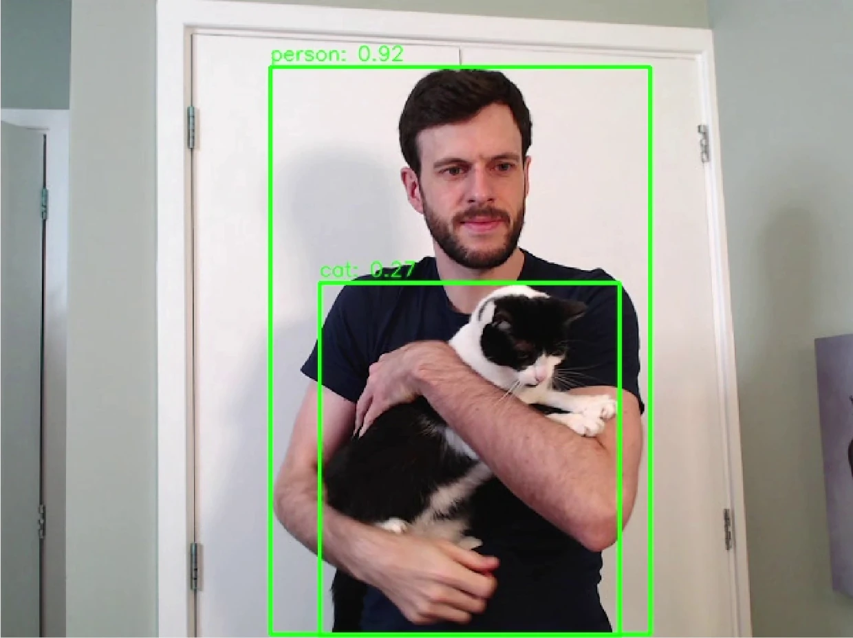 Image of cat recognised as cat with bounding box