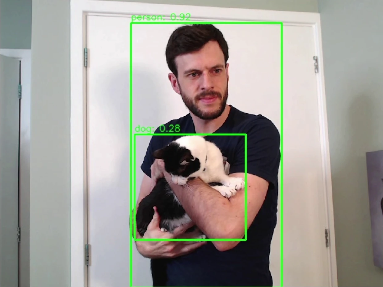 Image of cat recognised as dog with bounding box