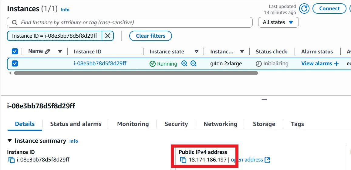 Screenshot showing Spot Instance IP from AWS Console